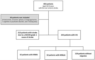 Cryptogenic Ischemic Stroke in Migraine: Role of Patent Foramen Ovale